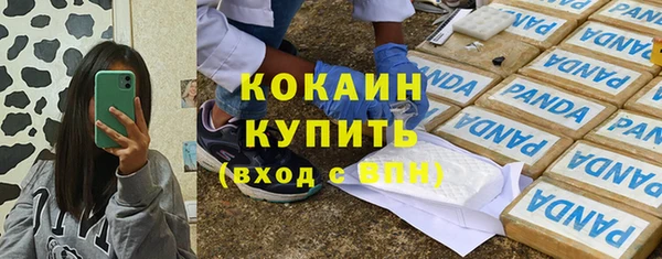 бошки Арсеньев