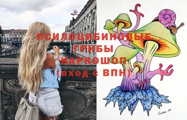 эйфоретик Аркадак
