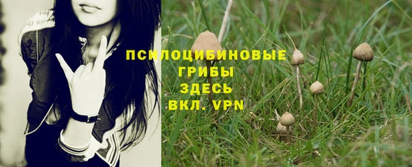 герыч Покровск