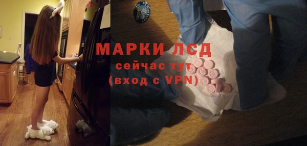 эйфоретик Аркадак